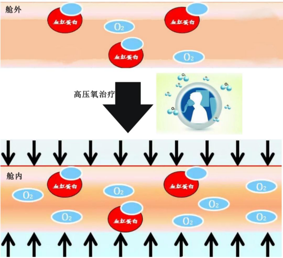 b3e0f835-24b0-4eda-a62c-fdbd814e4568.png